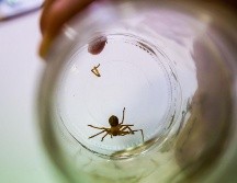 Las autoridades ya se encuentran realizando las investigaciones correspondientes. EL INFORMADOR/ ARCHIVO