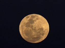 La luna puede ser vista de diferentes tonalidades. EFE/ARCHIVO