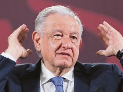 El Mandatario tendrá que acatar la instrucción del instituto. EFE