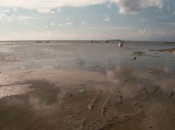 Lago de Chapala tiene el peor nivel en 20 años