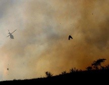 Protección Civil y Bomberos de Zapopan informó que el helicóptero Tláloc se sumó a las labores de combate. EL INFORMADOR/ ARCHIVO