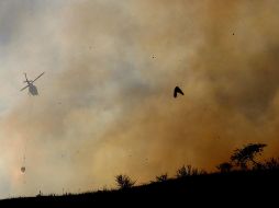 Protección Civil y Bomberos de Zapopan informó que el helicóptero Tláloc se sumó a las labores de combate. EL INFORMADOR/ ARCHIVO