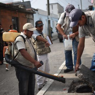 Guatemala declara emergencia nacional por epidemia de dengue