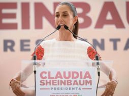 La representante de Morena dijo que buscará que dicho programa sea un derecho establecido en la Constitución. EL UNIVERSAL