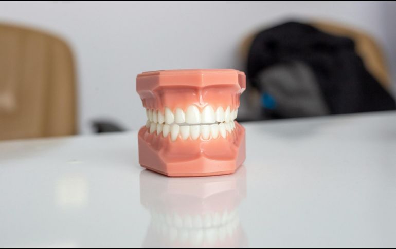 La elección de ciertos alimentos puede contribuir significativamente a la salud de nuestros dientes y encías. ESPECIAL/ Foto de Enis Yavuz en Unsplash