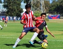 No es sorpresa que los dos equipos tapatíos son de las canteras más importantes en México. IMAGO7.