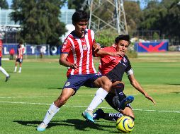 No es sorpresa que los dos equipos tapatíos son de las canteras más importantes en México. IMAGO7.