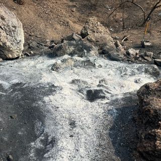 No hay un crematorio clandestino, son restos óseos de origen animal: Fiscalía CDMX