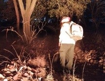 La Secretaría de Medio Ambiente y Desarrollo Territorial (Semadet), informó que el siniestro fue controlado cerca de las 5:00 horas. ESPECIAL