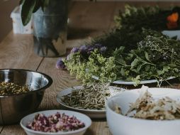 El consumo prolongado de una misma planta medicinal tampoco es aconsejable. UNSPLASH / Annie Spratt