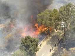 Se espera una temporada difícil debido a la sequía y las altas temperaturas. ESPECIAL