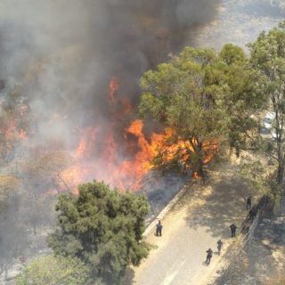 Combaten 3 incendios en Zapopan