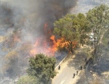 Se espera una temporada difícil debido a la sequía y las altas temperaturas. ESPECIAL