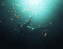 El próximo jueves 9 de mayo se estrena a través de Netflix la película documental. CORTESÍA/NETFLIX