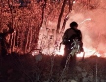 Cuarenta y cuatro brigadistas y 9 vehículos de apoyo combaten el fuego en el bosque. X/ReporteForestal
