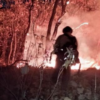 Se incendia La Primavera; activan alerta atmosférica