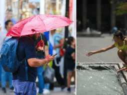 De acuerdo con el reporte del IAM, difundido este 2 de mayo, el consenso entre distintos modelos climáticos indica lo siguiente. EL INFORMADOR / ARCHIVO
