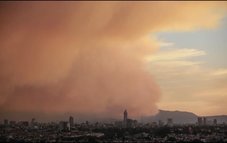 Es importante cuidar las actividades que se realizan cerca de zonas forestales para evitar que se origine un incendio. Esto puede salvar el medio ambiente y sobre todo, vidas. EL INFORMADOR / ARCHIVO