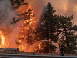 La Semarnat indica que hay 3 maneras en las que se propaga el fuego en un incendio. EFE / ARCHIVO
