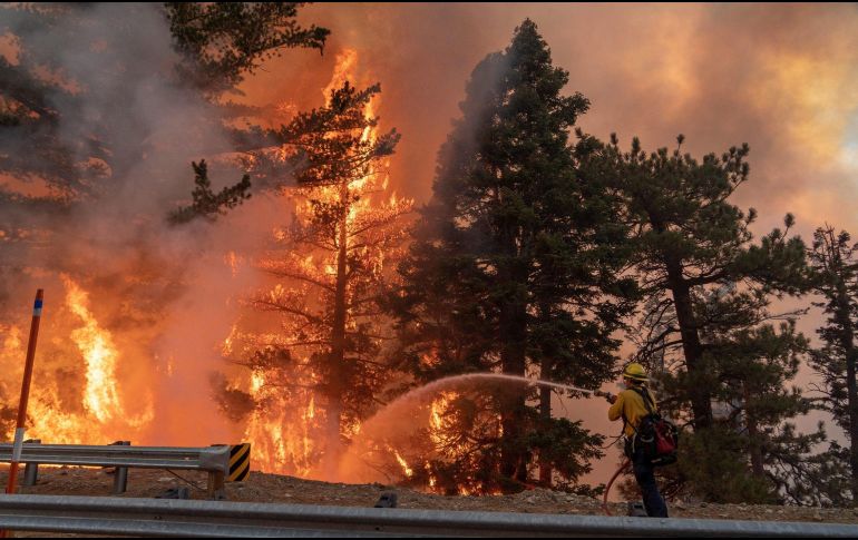 La Semarnat indica que hay 3 maneras en las que se propaga el fuego en un incendio. EFE / ARCHIVO