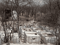 No hubo personas detenidas por los hechos, por lo que se abrió una carpeta de investigación. ESPECIAL