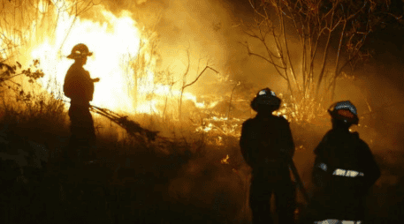 En total desde el primero de enero hasta el corte del 25 de abril se habían incendiado 23 mil 413 hectáreas en 430 siniestros. EL INFORMADOR / ARCHIVO