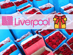 Estos son los producto en oferta que podrían servir como regalo para el Día de la Madre. EL INFORMADOR / ARCHIVO