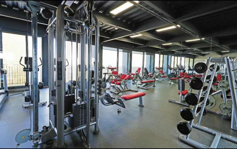 La creatina es un suplemento muy usado en los gimnasios. SUN/ARCHIVO