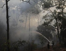 Estos cuatro incendios de Valle de Bravo 