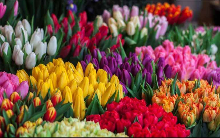 Un ramo de flores es una forma clásica pero ideal para expresarle a mamá tus sentimientos por ella. Unsplash