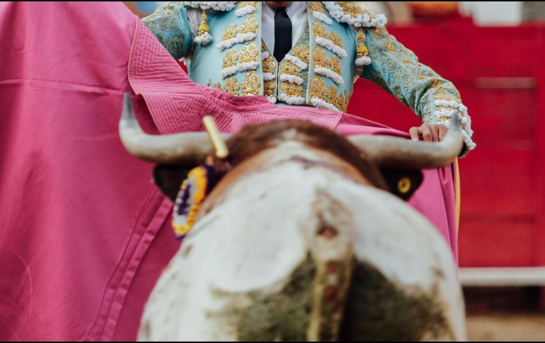 Ayer lunes, una jueza de distrito en materia administrativa suspendió otra vez las corridas de toros en la Plaza México. EL INFORMADOR / ARCHIVO