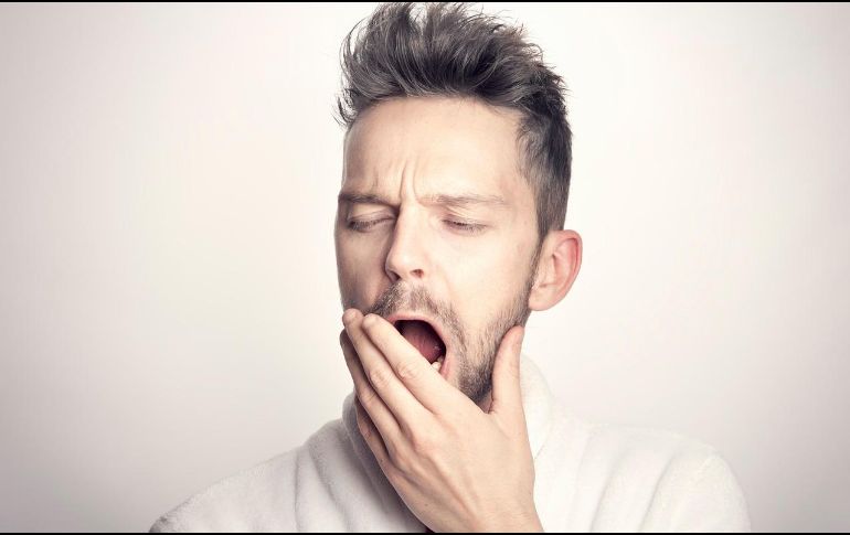 Incluye estas frutas a tu dieta nocturna y dile adiós al insomnio. ESPECIAL/Foto de  Sammy-Sander en Pixabay