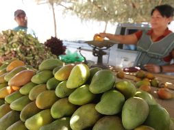 En esta temporada de calor, los mangos son de las frutas más consumidas y además de ricos, son una gran fuente de vitaminas, minerales, agua y fibra. EL INFORMADOR / ARCHIVO