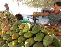 En esta temporada de calor, los mangos son de las frutas más consumidas y además de ricos, son una gran fuente de vitaminas, minerales, agua y fibra. EL INFORMADOR / ARCHIVO