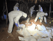 La Marina destruyó de ocho laboratorios clandestinos con más de seis toneladas de metanfetaminas.  EFE/Semar