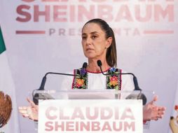 La representante de Morena mencionó que la propuesta ya había sido hecha por el Presidente. EL UNIVERSAL