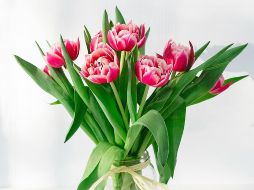 El Mercado de Mezquitán es una gran opción para comprar flores cualquier día del año. Unsplash