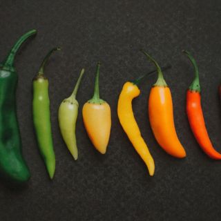 El chile mexicano más rico del mundo, según Taste Atlas