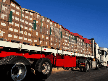 Los camiones de ayuda humanitaria ya podrían ingresar a Gaza. EFE/ARCHIVO