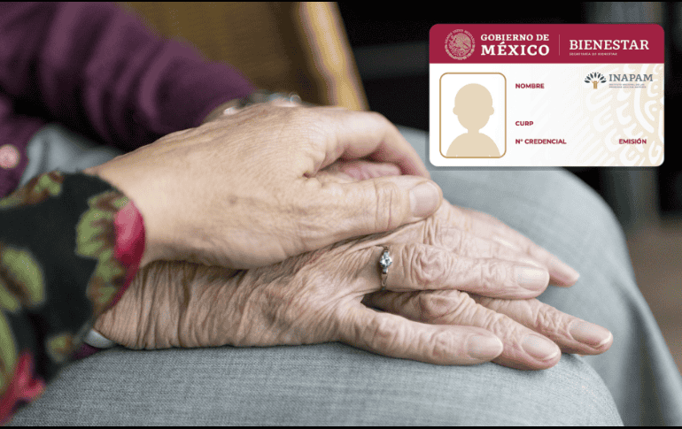 El gobierno federal tiene a disposición de las y los usuarios de dicha tarjeta un Directorio de Beneficios 2024 con Credencial INAPAM. ESPECIAL/ Pixabay.