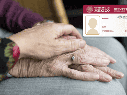 El gobierno federal tiene a disposición de las y los usuarios de dicha tarjeta un Directorio de Beneficios 2024 con Credencial INAPAM. ESPECIAL/ Pixabay.