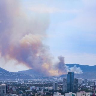Extinguen incendio dentro del bosque La Primavera