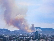 Según bomberos de Zapopan, el área afectada fue un total de 60 hectáreas de forma preliminar. EL INFORMADOR / A. Navarro