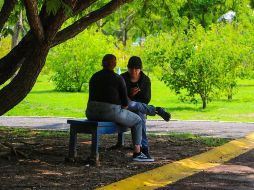 Un estudio realizado por la Universidad Iberoamericana ha destacado la capacidad refrescante de los parques y espacios verdes en áreas urbanas. EL INFOMADOR/ARCHIVO