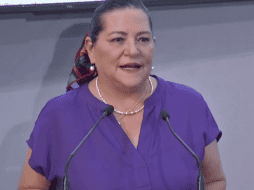 Guadalupe Taddei Zavala, presidenta del INE, señaló el instituto mantiene un diálogo abierto con la Comisión Federal de Electricidad. X/@INEMexico
