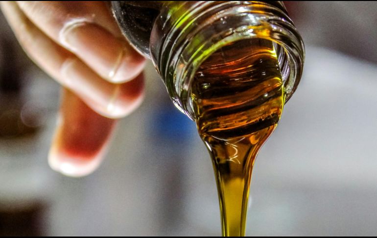 ESPECIAL/ Foto de Fulvio Ciccolo en Unsplash