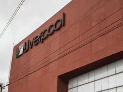 Liverpool trae una gran variedad de ofertas por el Hot Sale 2024. EL INFORMADOR/ARCHIVO