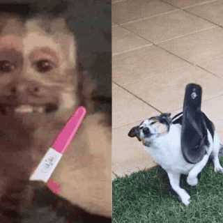 Día de las madres: Estos son los mejores memes del 10 de mayo