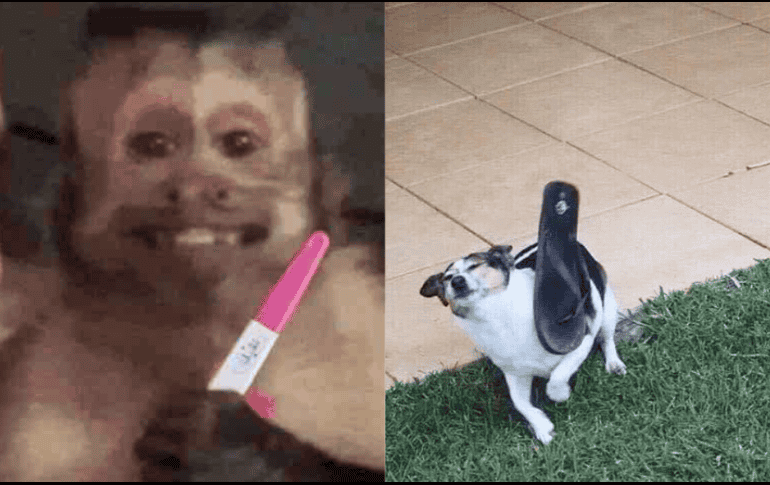 En México, la celebración del Día de las madres comenzó en 1922. ESPECIAL.