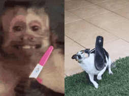 En México, la celebración del Día de las madres comenzó en 1922. ESPECIAL.